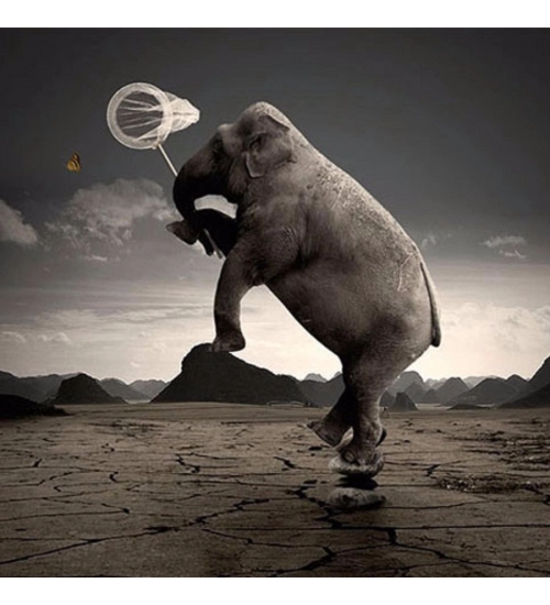 Elephant Clip Art Mobile Case Cover