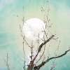 Graphic Design moon in light background Mobile Case Cover Graphic Design moon in light background Mobile Case Cover