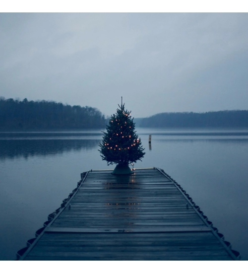 Beautiful River and Tree Mobile Case Cover