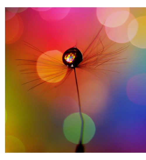 Girl portrait image Mobile Case Cover