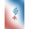 Two Fish With pattern layout Mobile Case Cover Two Fish With pattern layout Mobile Case Cover