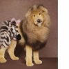 Lion and Tiger Masking Effect Mobile Case Cover Lion and Tiger Masking Effect Mobile Case Cover