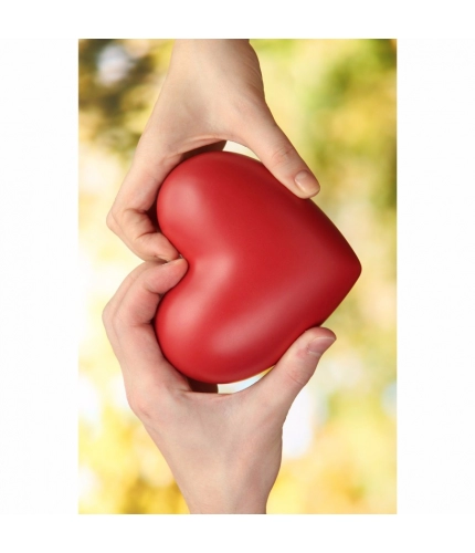 Heart in Hand Mobile Case Cover Heart in Hand Mobile Case Cover