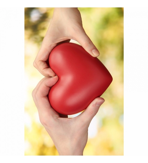 Heart in Hand Mobile Case Cover