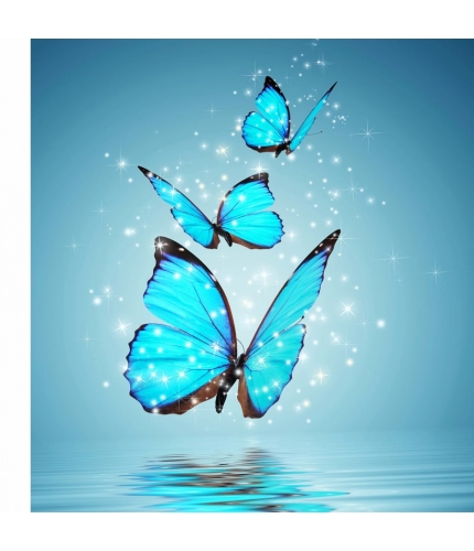 Butterfly and Star blinking Mobile Case Cover