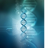 DNA Structure model Mobile Case Cover DNA Structure model Mobile Case Cover