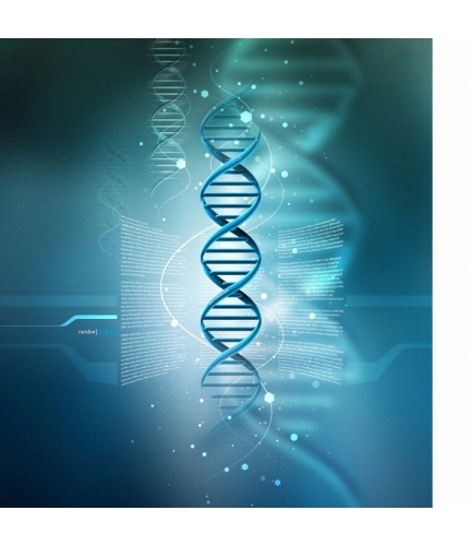 DNA Structure model Mobile Case Cover DNA Structure model Mobile Case Cover