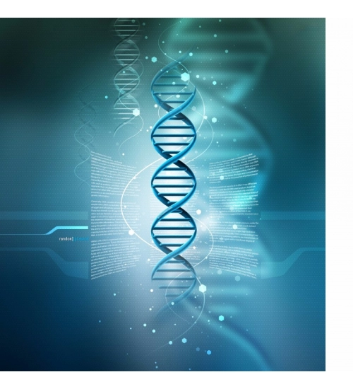 DNA Structure model Mobile Case Cover