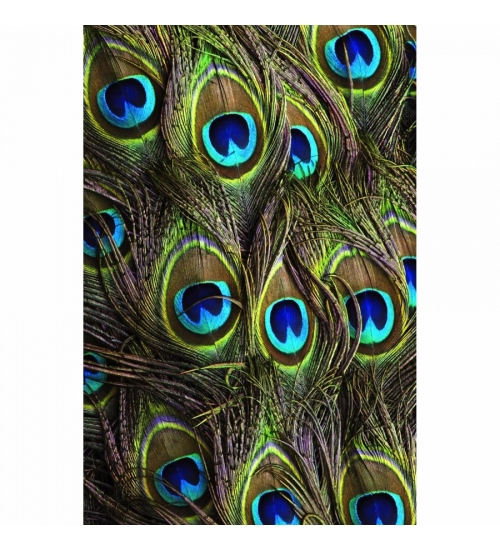 Beautiful Peocock Tail Mobile Case Cover
