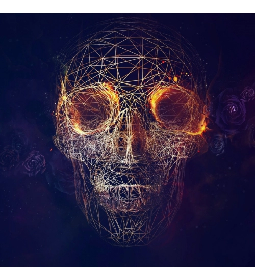 Skull Mobile Case Cover