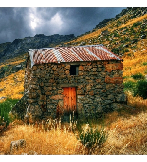 Old Age Home Mobile Case Cover