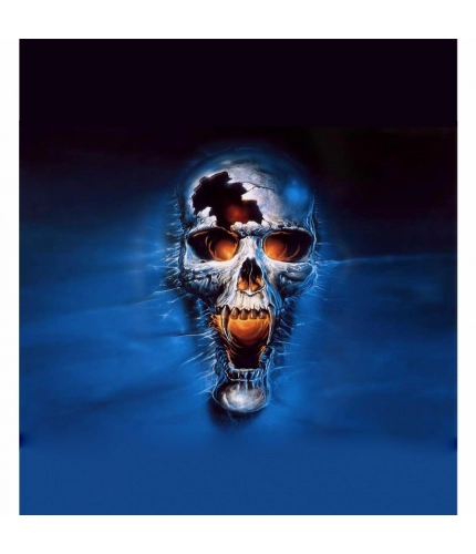 Blue Skull Wallpaper Mobile Case Cover