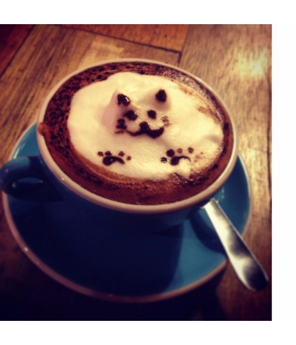 Creamy Cat Cup Mobile Case Cover Creamy Cat Cup Mobile Case Cover