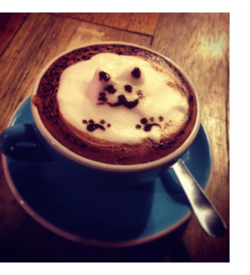 Creamy Cat Cup Mobile Case Cover