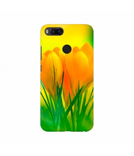 Yellow Crocus Flowers Wallpapers Mobile Case Cover