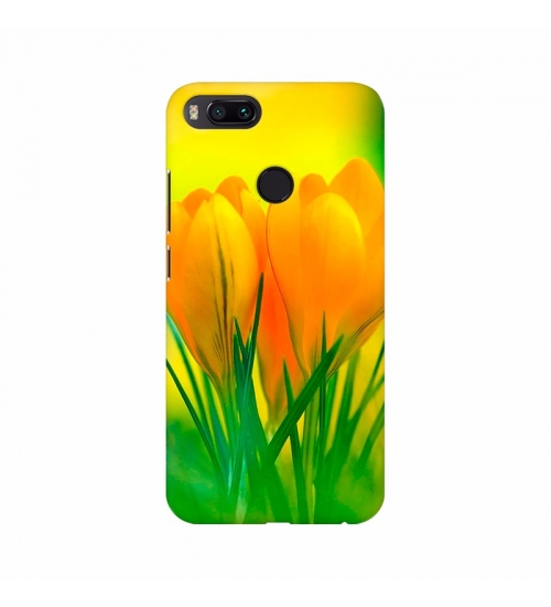 Yellow Crocus Flowers Wallpapers Mobile Case Cover