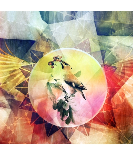 Colorful Texture with Bird Mobile case cover Colorful Texture with Bird Mobile case cover