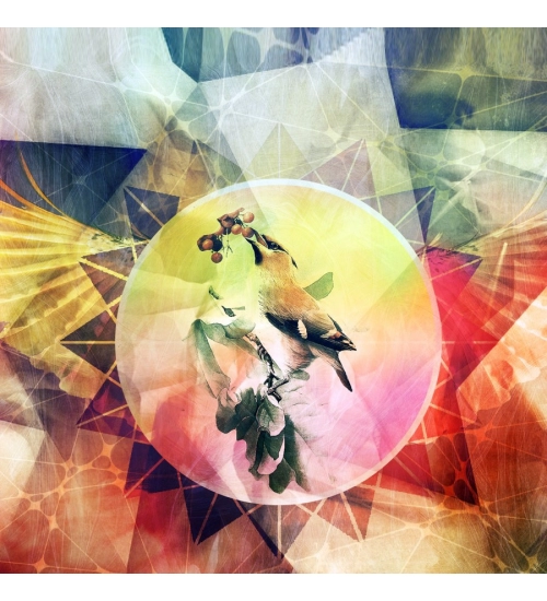 Colorful Texture with Bird Mobile case cover