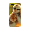 Beautiful Love Birds Mobile Case Cover Beautiful Love Birds Mobile Case Cover