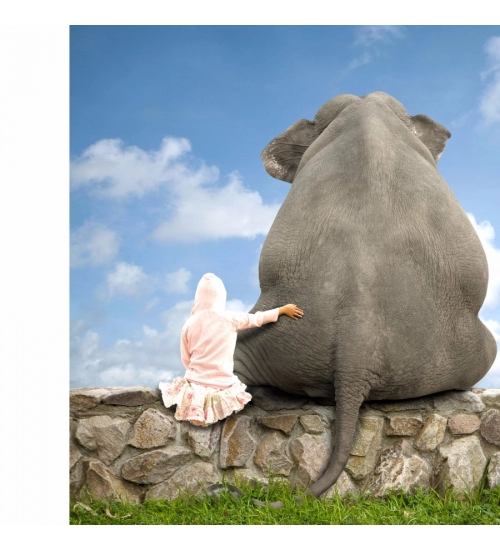 3D Layout Mobile Case Cover