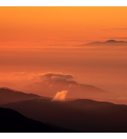 Orange Color Sunset Background Mobile Case Cover