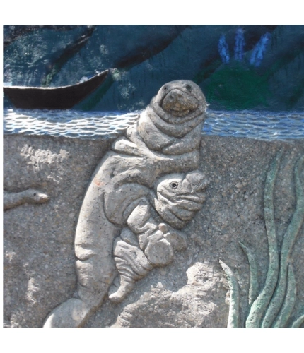 Cheata in Old Age Stone Mobile Case Cover