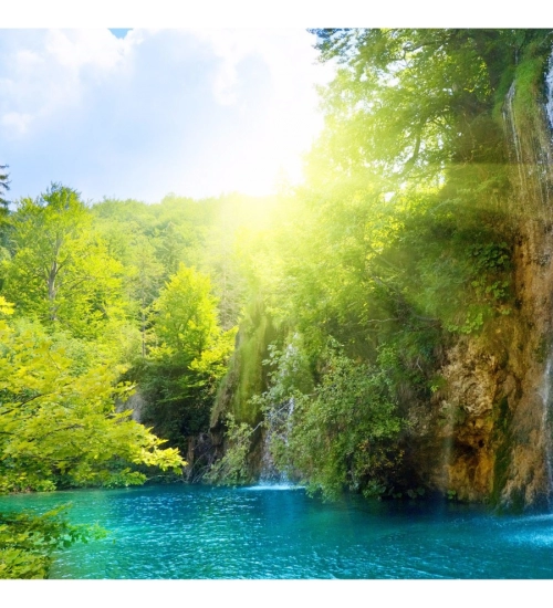 Natural Forest and sunrise Mobile Case Cover