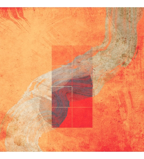 Orange Land Mobile case cover