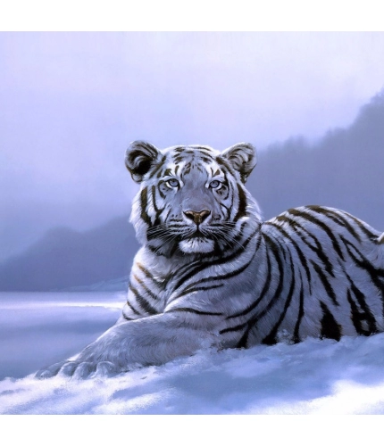 Tiger Mobile Case Cover Tiger Mobile Case Cover