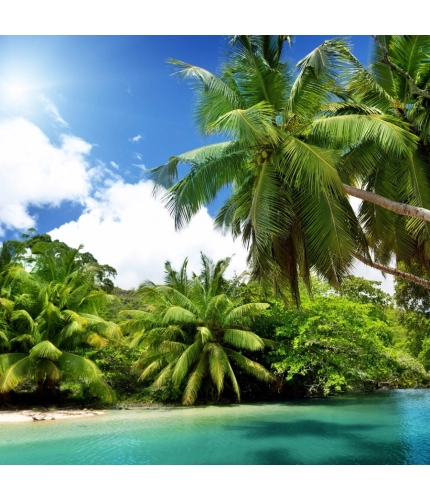 River with Beautiful Coconut Trees Mobile Case Cover