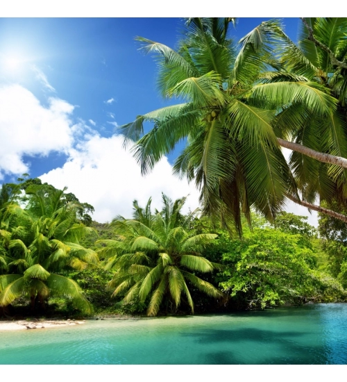 River with Beautiful Coconut Trees Mobile Case Cover