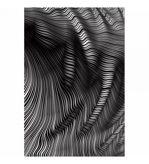 Zebera Lines Texture Effect Mobile Case Cover Zebera Lines Texture Effect Mobile Case Cover