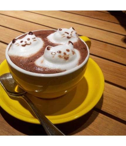 Coffee Creamy Cat Design Mobile Case Cover