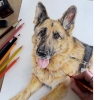 Dog Paper Drawing Effect Mobile Case Cover Dog Paper Drawing Effect Mobile Case Cover