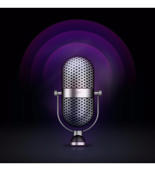 Voice Recorder Mobile Case Cover