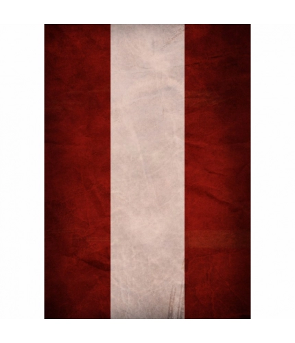 Two Colors Vertical Lines Mobile Case Cover