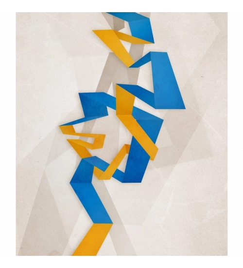 Two Color Pattern Mobile Case Cover