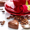Dark Chocolate with Plate Decoration Mobile Case Cover Dark Chocolate with Plate Decoration Mobile Case Cover