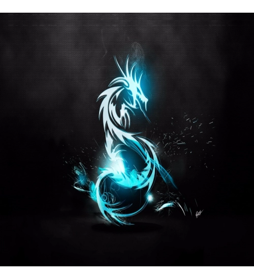 3D Shell Photo Mobile Case Cover