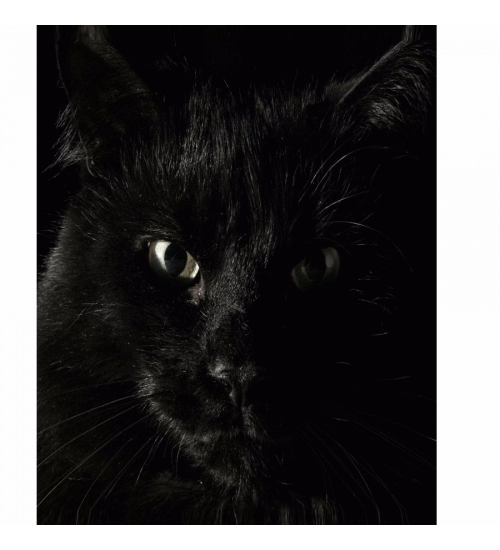 Dark Animal Mobile Case Cover