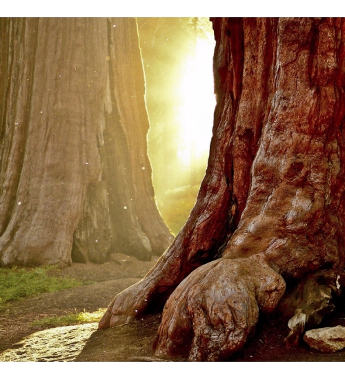 Blue color Texture Background Mobile Case Cover