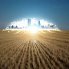 Wheat Land and city landscapes Mobile case cover Wheat Land and city landscapes Mobile case cover