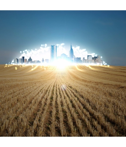 Wheat Land and city landscapes Mobile case cover