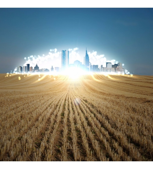 Wheat Land and city landscapes Mobile case cover