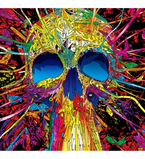 Skull illustration Effect Mobile Case Cover