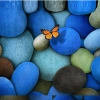Colorful Stones and butterfly Mobile Case Cover Colorful Stones and butterfly Mobile Case Cover