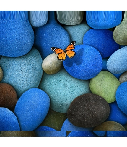 Colorful Stones and butterfly Mobile Case Cover Colorful Stones and butterfly Mobile Case Cover
