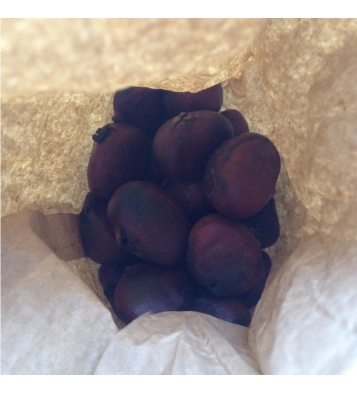 Constrast Beatroot Picture Mobile Case Cover