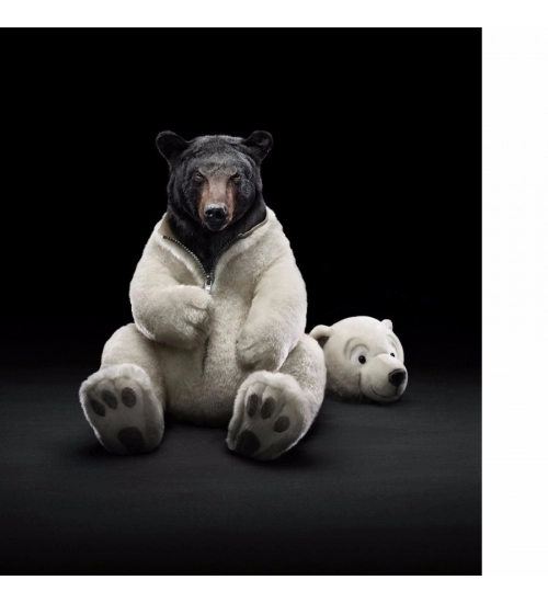 Humor Wallpaper Mobile case cover