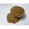 Fenugreek Microgreen Seeds – Nutritious Greens, Easy to Cultivate